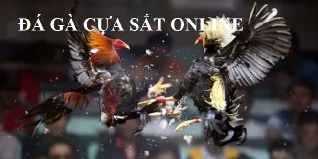 Da-ga-cua-sat-online