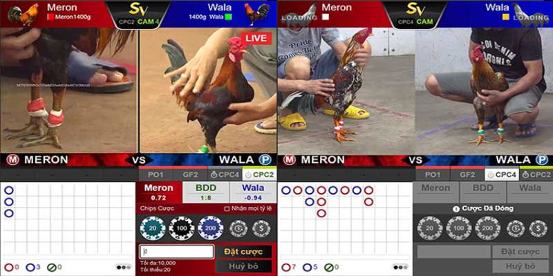 xem-choi-da-ga-online-voi-giao-dien-hien-dai-dep-mat 